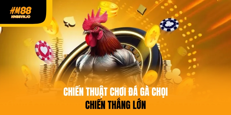 Bật mí chiến thuật chơi đá gà chọi hiệu quả