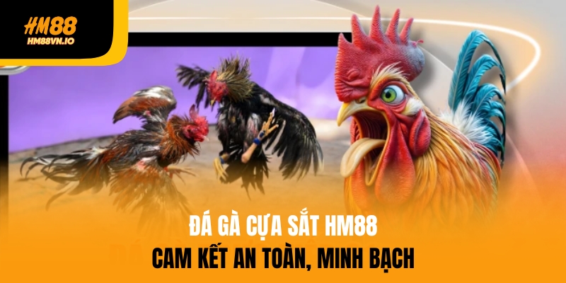 Điểm danh 4 loại cược đá gà cựa sắt hot nhất - Đừng bỏ lỡ Đá gà cựa sắt HM88 an toàn, minh bạch