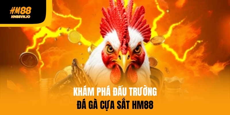Khám phá đấu trường đá gà cựa sắt HM88