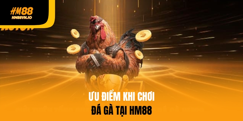 Những ưu điểm khi chơi đá gà HM88